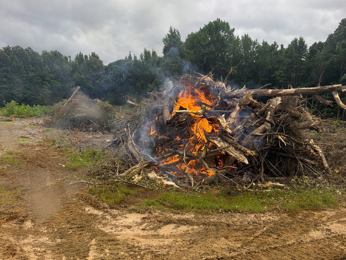 Brush and stump piles burning on site during land clearing, avoiding haul-off costs