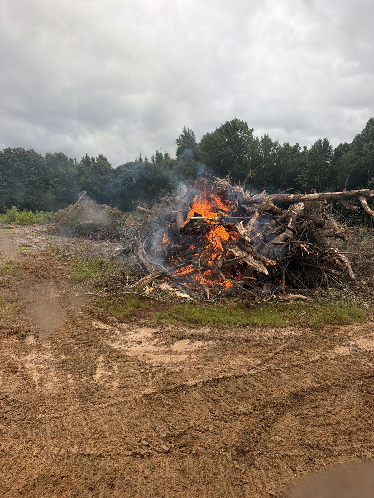 Brush and root piles staged for burning during land clearing in Western Kentucky